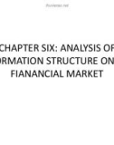 CHAPTER SIX: ANALYSIS OF INFORMATION STRUCTURE ON THE FIANANCIAL MARKET