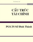 Cấu trúc tài chính