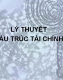 Kinh tế học cấu trúc tài chính