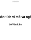 Bài giảng Phân tích và đầu tư chứng khoán: Phân tích vĩ mô và ngành - Lê Văn Lâm