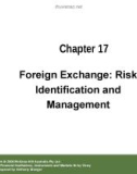 Lecture Financial institutions, instruments and markets (6/e): Chapter 17 - Christopher Viney