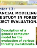 Chapter 13: FINANCIAL MODELING CASE STUDY IN FORESTRY PROJECT EVALUATION.