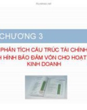 Bài giảng Phân tích báo cáo tài chính – Chương 3: Phân tích cấu trúc tài chính và tình hình bảo đảm vốn cho hoạt động kinh doanh (tt)