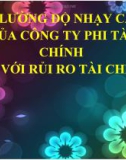 Bài giảng quản trị rủi ro tài chính - Bài 13