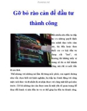 Gỡ bỏ các rào cản để đầu tư thành công