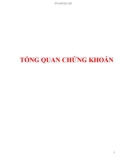 Tài liệu Tổng quan chứng khoán