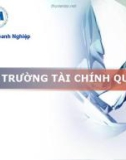 Bài giảng Tài chính quốc tế: Bài 1 - Lê Thị Hồng Minh