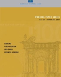 WORKING PAPER SERIES NO. 407 / NOVEMBER 2004: BANKING CONSOLIDATION AND SMALL BUSINESS LENDING