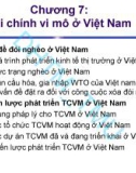 Bài giảng Tài chính vi mô: Chương 7 - ĐH Thương Mại