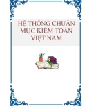 Hệ thống chuẩn mực kiểm toán Việt Nam