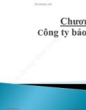 Bài giảng Định chế tài chính - Chương 13: Công ty bảo hiểm