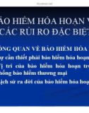 Bài giảng Bảo hiểm hỏa hoạn và các rủi ro đặc biệt (2014)