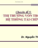 Chuyên đề 5: Thị trường vốn trong hệ thống tài chính - Dr. Nguyễn Thị Lan