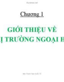 Bài giảng Giới thiệu về thị trường ngoại hối