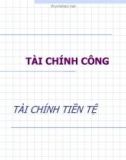 Bài giảng Tài chính tiền tệ: Tài chính công