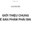 Chuyên đề Giới thiệu chung về sản phẩm phái sinh