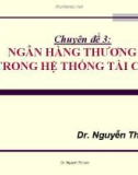 Chuyên đề 3: Ngân hàng thương mại trong hệ thống tài chính - Dr. Nguyễn Thị Lan