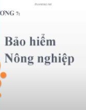 Chương 7: Bảo hiểm nông nghiệp