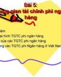 Trung gian tài chính phi ngân hàng