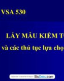 Bài giảng môn Kiểm toán: Chuyên đề 3 - Lấy mẫu kiểm toán và các thủ tục lựa chọn khác