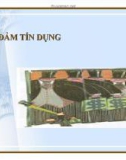 BẢO ĐẢM TÍN DỤNG