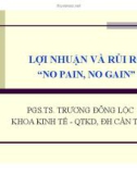 Bài giảng Chương 4: Lợi nhuận và rủi ro (No pain, no gain) - PGS.TS. Trương Đông Lộc