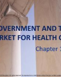 Lecture note Public finance (10th Edition) - Chapter 10: Government and the market for health care