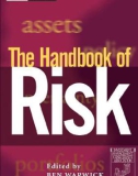 Finance The Handbook of Risk