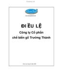 Báo cáo bạch: Công ty Cổ phần chế biến gỗ Trường Thành