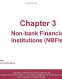 Lecture Financial institutions, instruments and markets (4/e): Chapter 3 - Christopher Viney