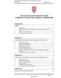 COLLECTIVE INVESTMENT FUNDS (UNREGULATED FUNDS) (JERSEY) ORDER 2008