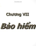 Bài giảng Lý thuyết Tài chính - Tiền tệ: Chương 7 - Đại học Ngoại thương