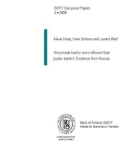 Are private banks more efficient than public banks? Evidence from Russia