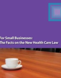 For Small Businesses: The Facts on the New Health Care Law