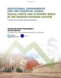 Educational EndowmEnts and thE Financial crisis: social costs and systEmic risks in thE shadow Banking systEm