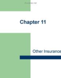 Lecture Personal financial planning – Chapter 11: Other insurance