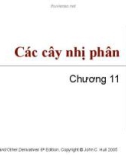 Bài giảng Tài chính phái sinh: Chương 11 - Cây nhị phân