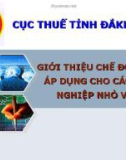 GIỚI THIỆU CHẾ ĐỘ KẾ TOÁN ÁP DỤNG CHO CÁC DOANH NGHIỆP NHỎ VÀ VỪA