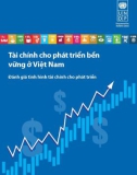 Đánh giá các vấn đề tài chính Việt Nam