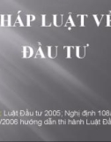 Pháp luật về đầu tư