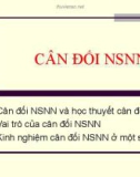 Bài giảng CÂN ĐỐI NGÂN SÁCH NHÀ NƯỚC