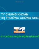 CÔNG TY CHỨNG KHOÁN NGÂN HÀNG ĐÔNG Á