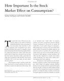 How Important Is the Stock Market Effect on Consumption?