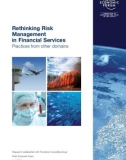 Rethinking Risk Management in Financial Services Practices from other domains