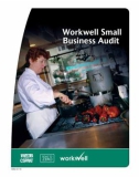 Workwell Small Business Audit