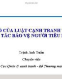 Bài giảng Vai trò của Luật Cạnh tranh trong công tác bảo vệ người tiêu dùng - Trịnh Anh Tuấn