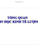 Bài giảng Tổng quan môn học Kinh tế lượng