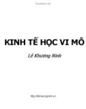 Bài giảng Kinh tế học vi mô - Lê Khương Ninh