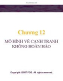 Bài giảng Lý thuyết kinh tế học vi mô: Chương 12 - GV. Đinh Thiện Đức