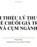 Bài giảng Phát triển vùng và địa phương: Giới thiệu lý thuyết về chuỗi giá trị và cụm ngành